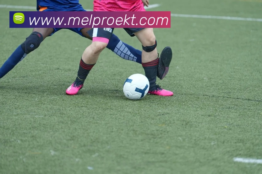 c7平台注册入口APP 封面图